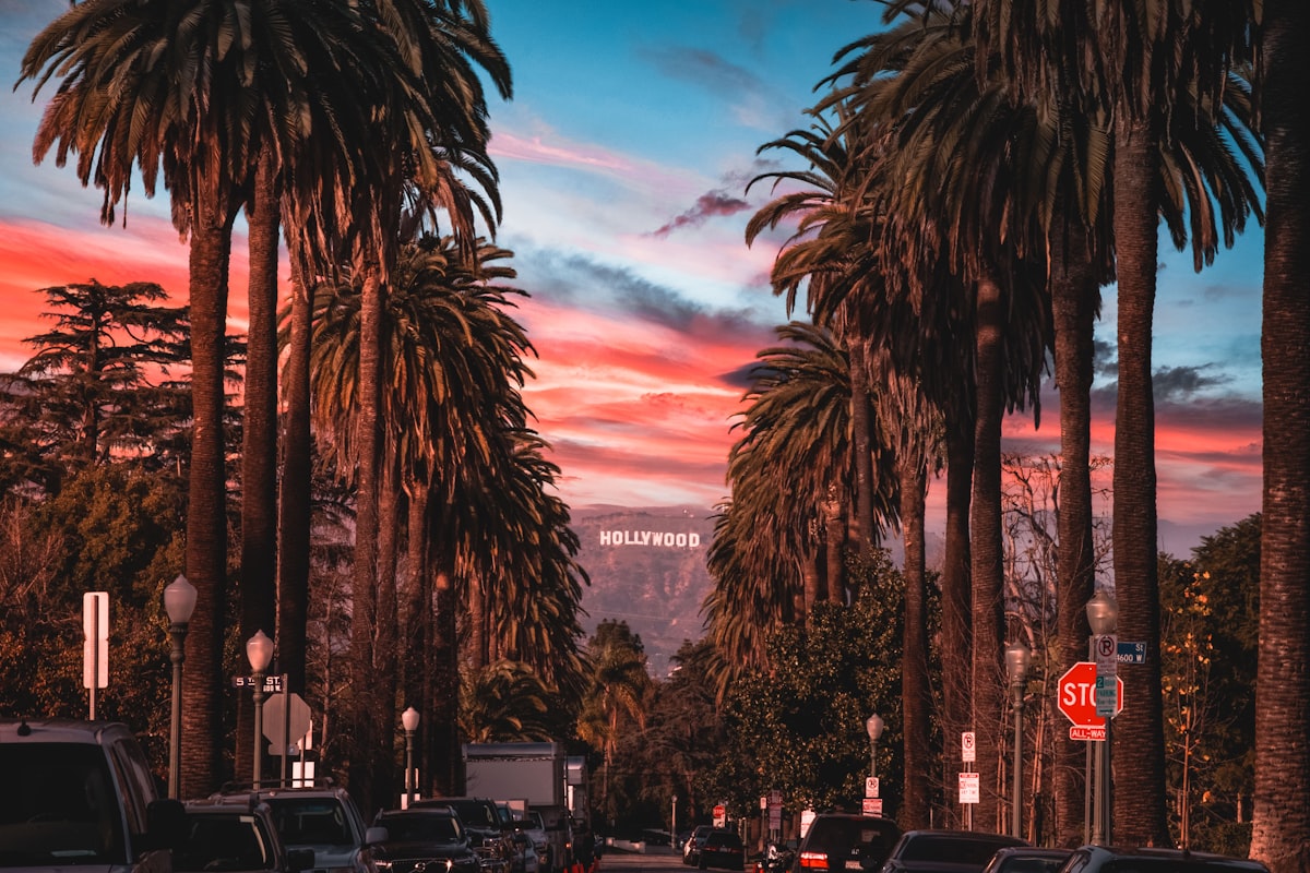 Los Angeles skyline with palm trees at sunset